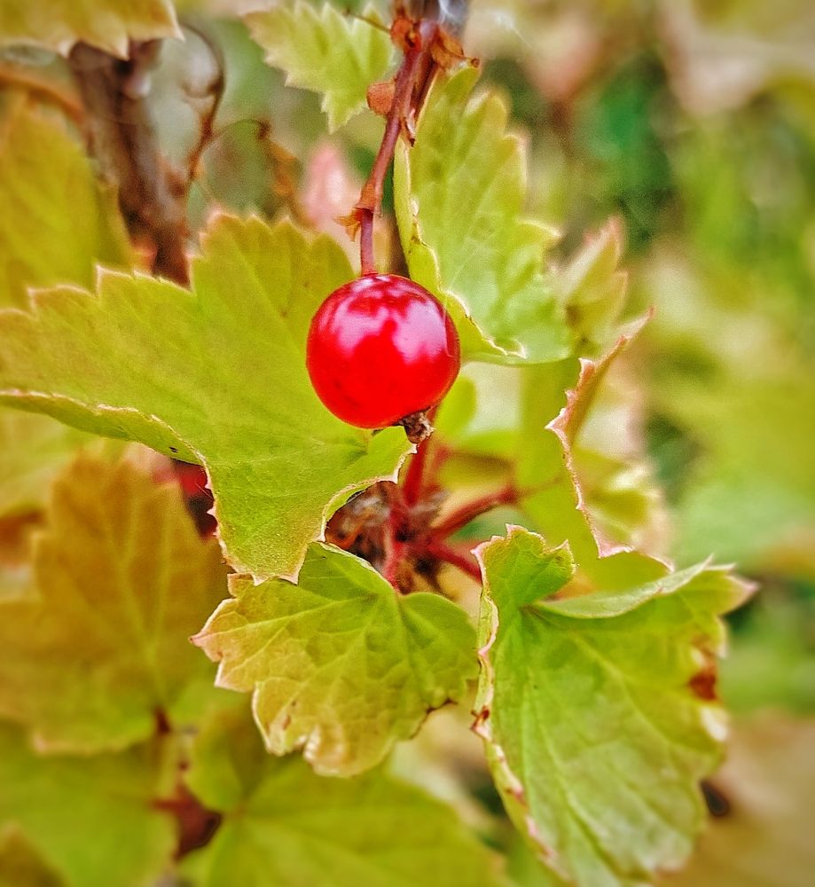 Photograph by Александр Бакин
