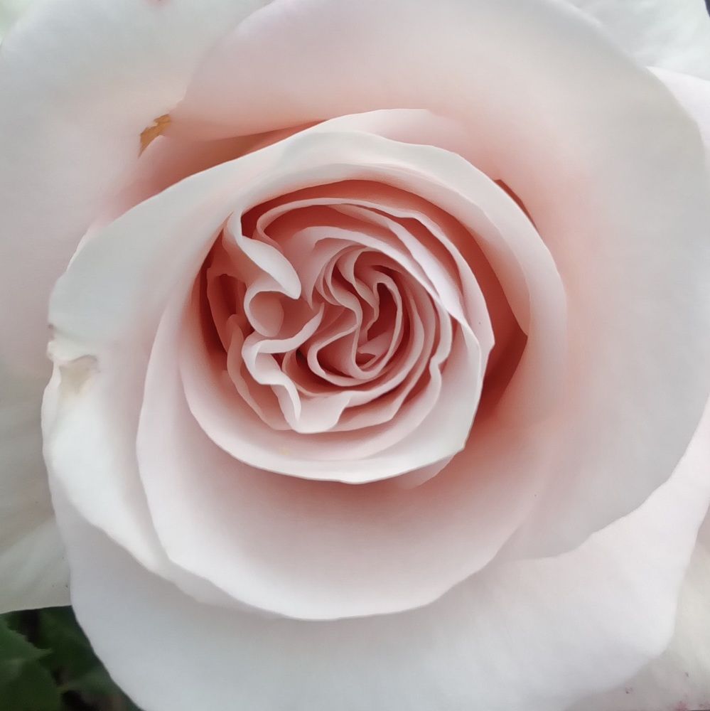 Photograph by Татьяна