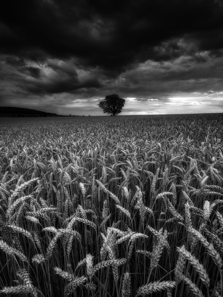 Photograph by Костадин Маджаров