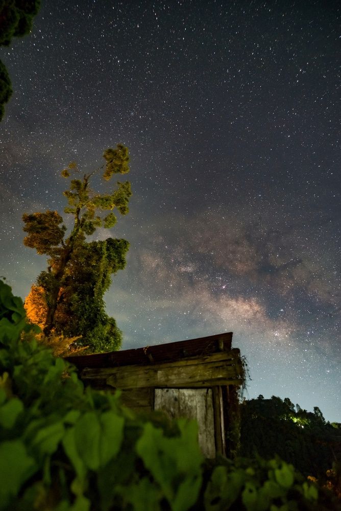 Photograph by Pemba Tshering Tamang