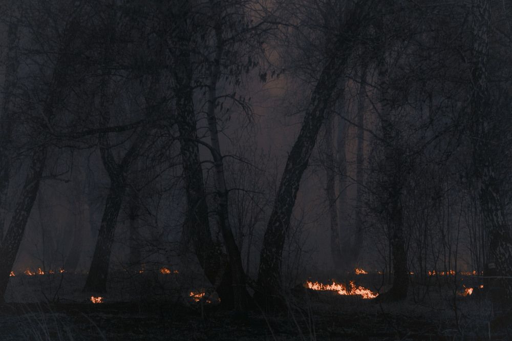 Photograph by Юлия Лушникова