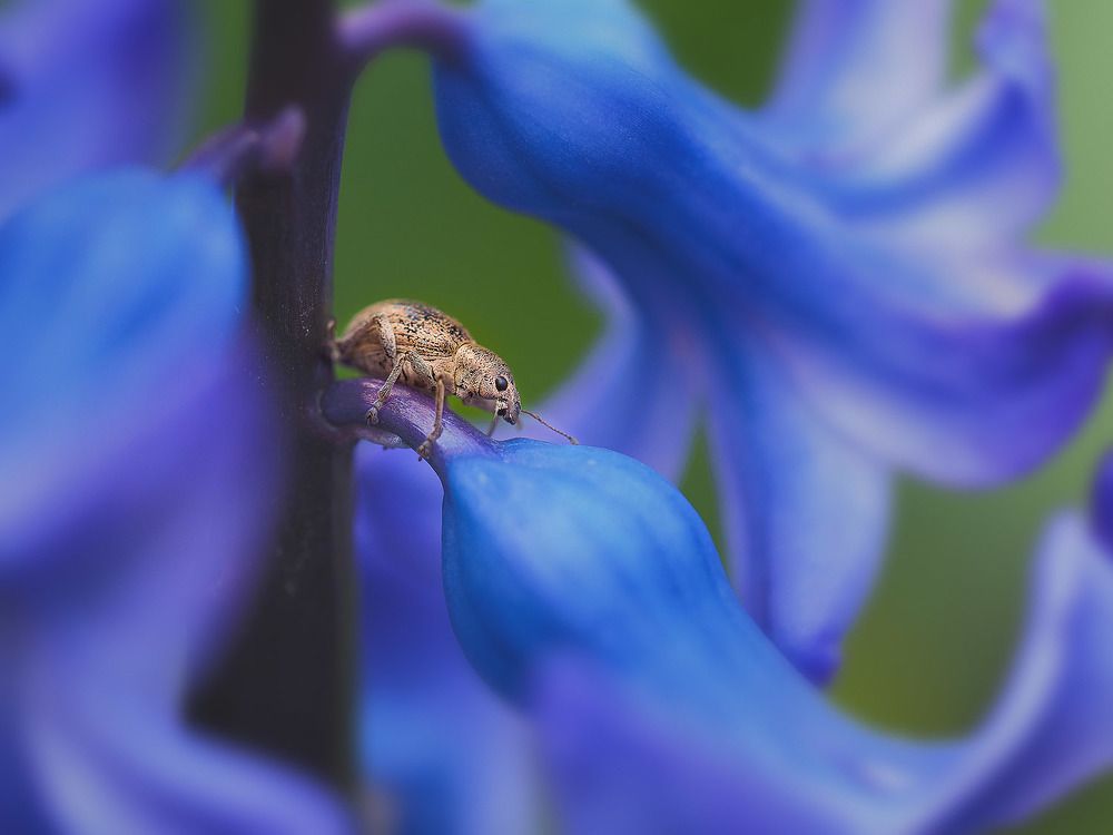 Photograph by Лукашук Евгений