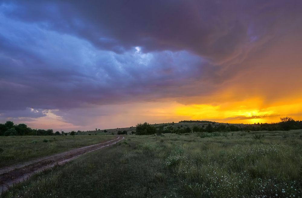Фотография автора Галина