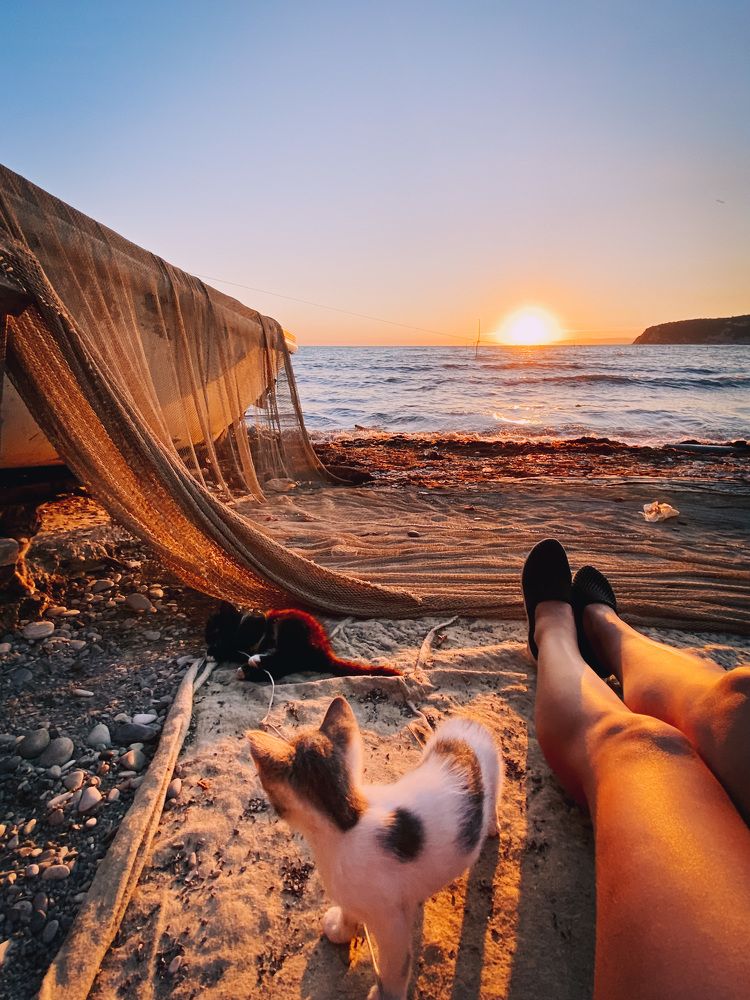 Photograph by Elizaveta Belyakova