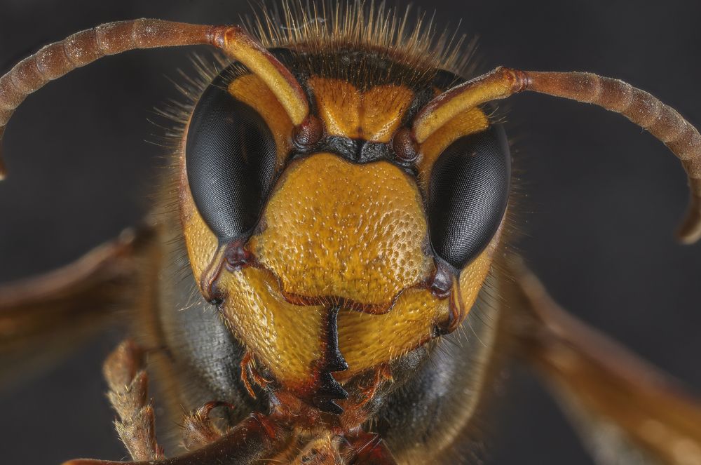 Фотография автора Eimar Kull