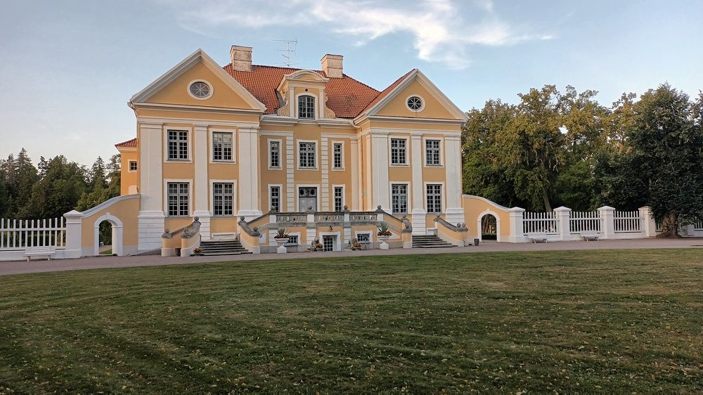 Пальмсе мыйз