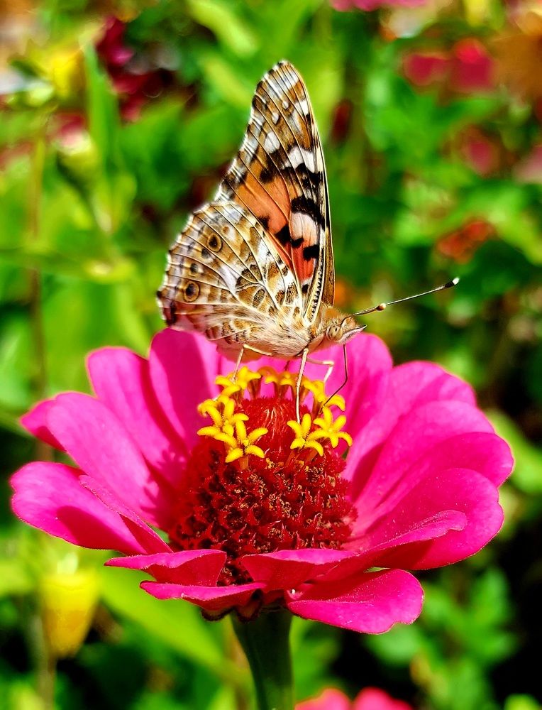 Photograph by Фролова Светлана