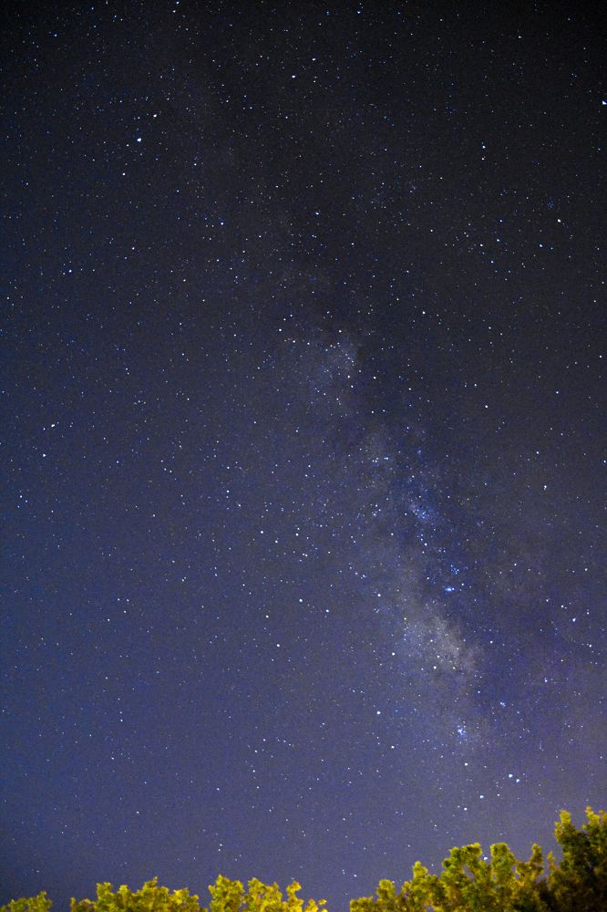 Фотография автора Mohsen Tavakoli