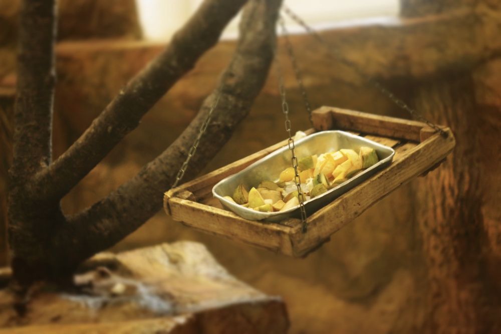 Photograph by Алиса Крумина