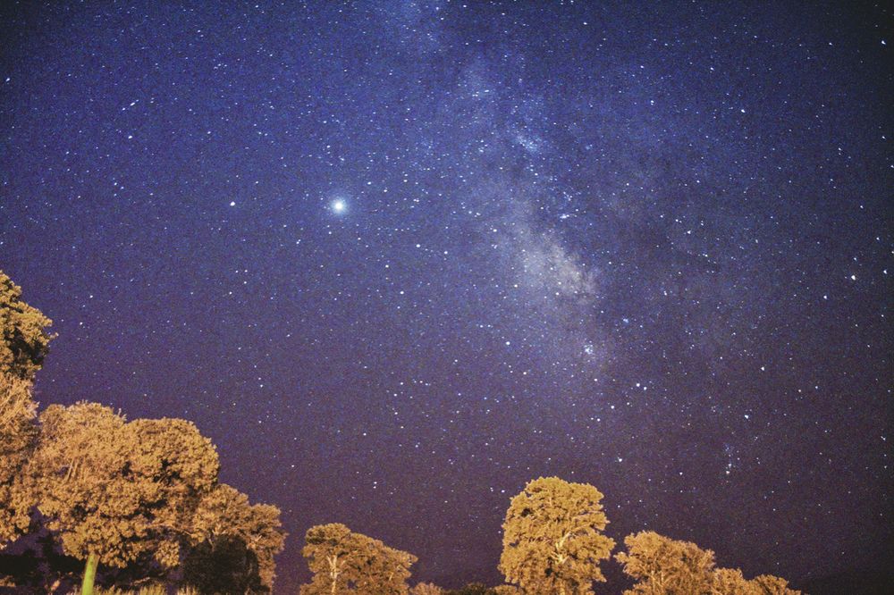 Фотография автора Mohsen Tavakoli