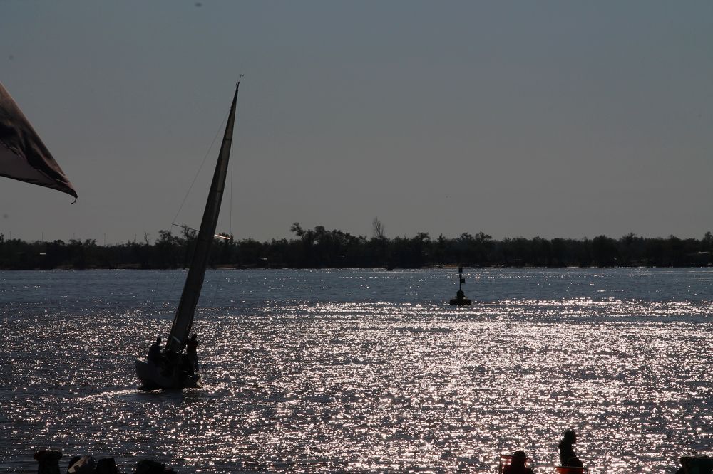 Фотография автора César Carrion