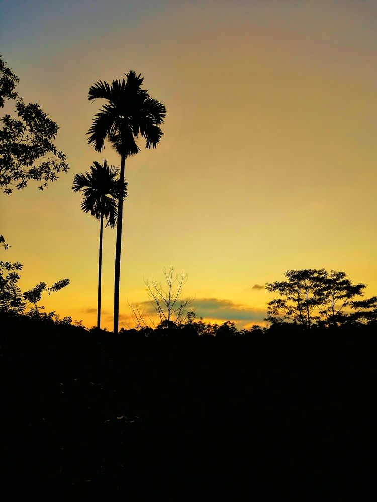 Photograph by Pramodha Madushani Ponnamperuma
