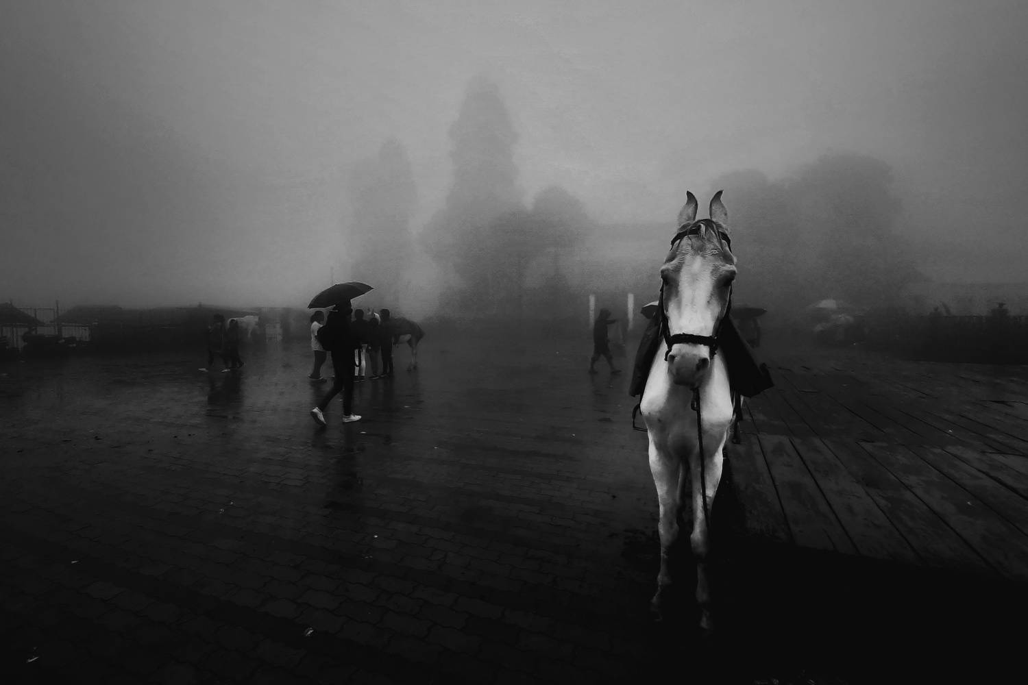 Photo #7938251