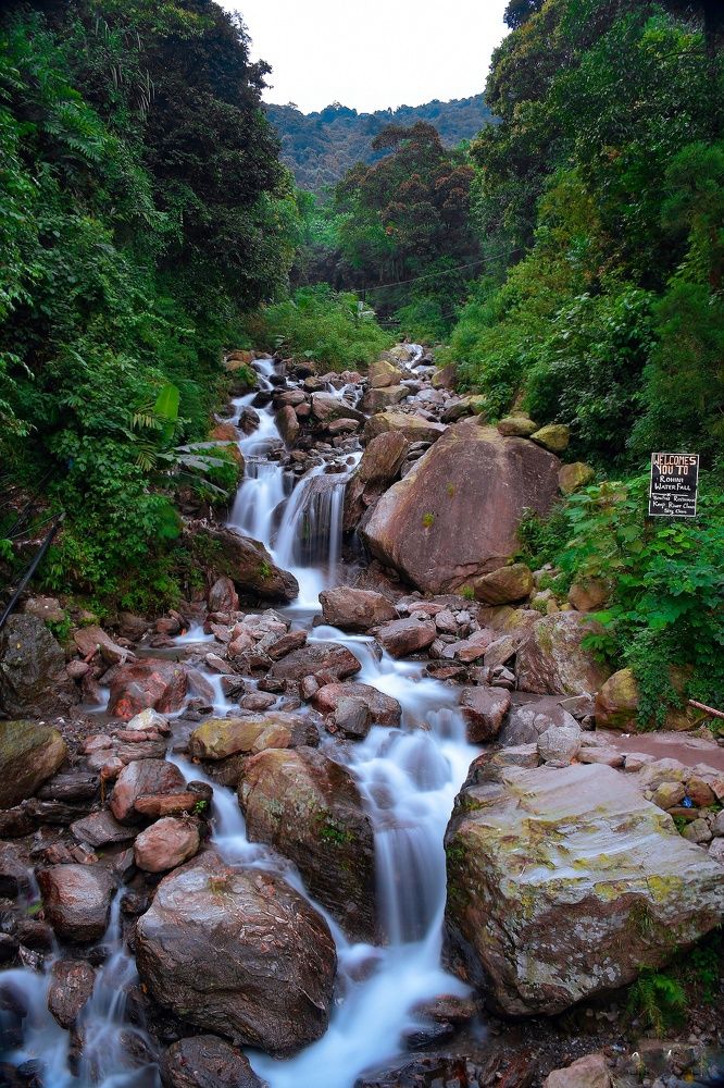 Фотография автора Prahlad Karki