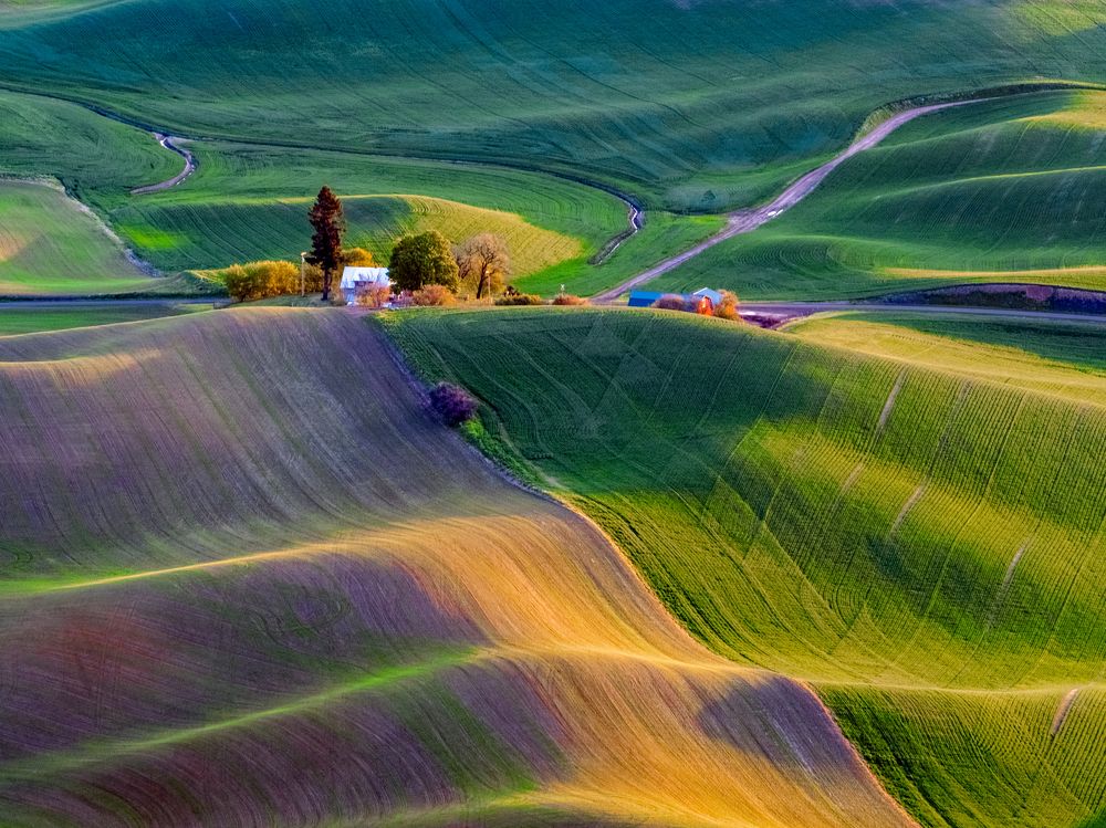 Photograph by Annette Taberner-Miller