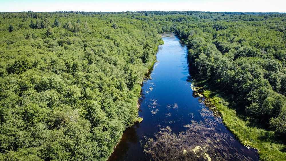 Photograph by Ольга Сафронова