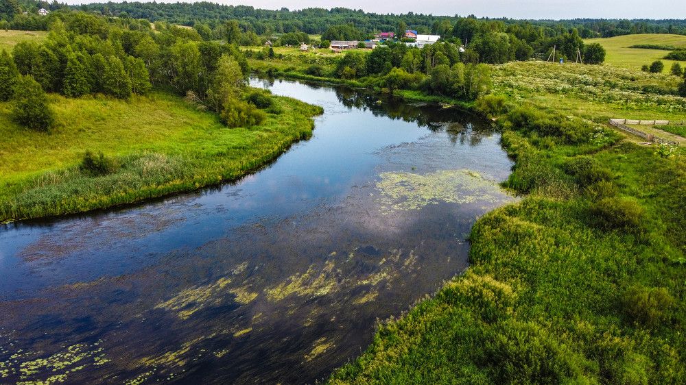 Photograph by Ольга Сафронова