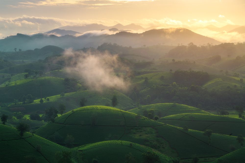Фотография автора Bảo Nguyễn Gia