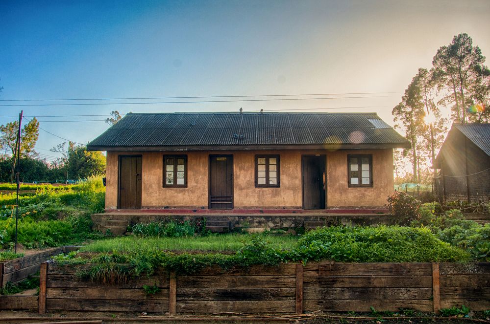 Photograph by Chamara Sulakkhana Polwatta Siriyalage