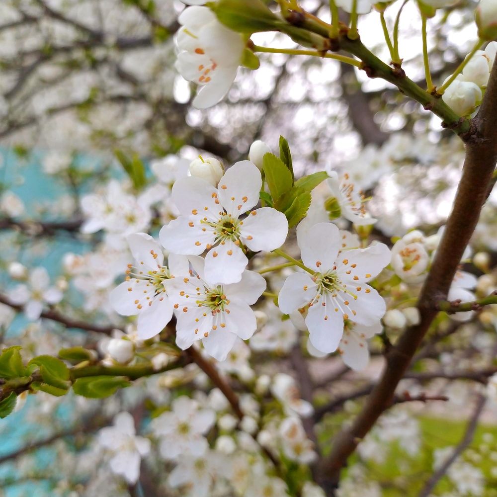 Photograph by Ирина Половцева