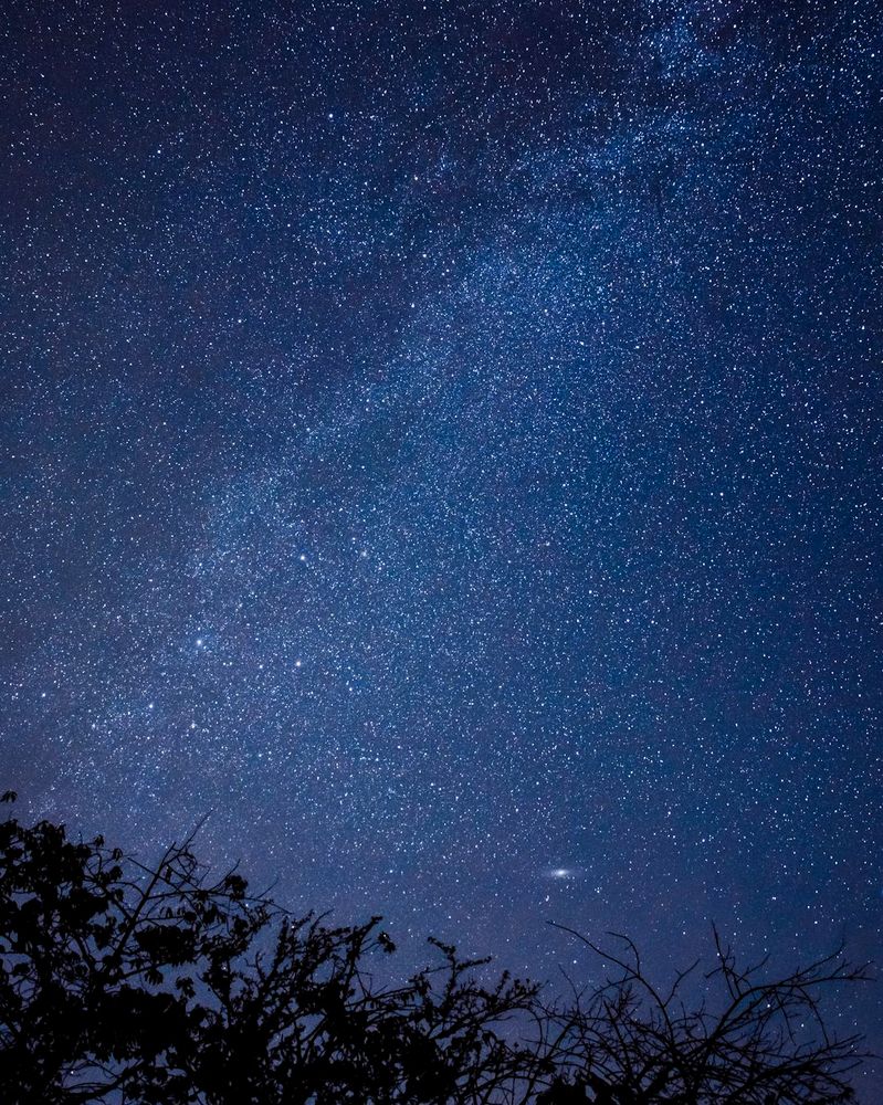 Photograph by Jai Shankar Chirivella