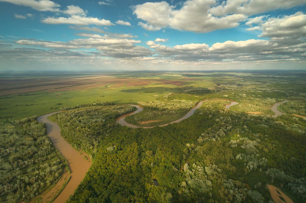 Photograph by Алексей Курочкин