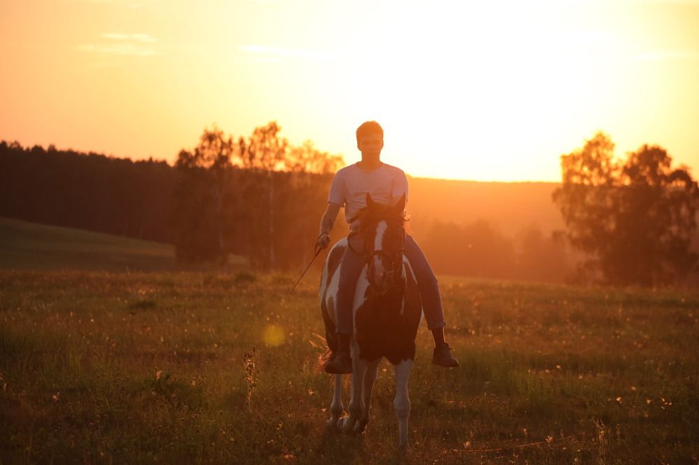Photograph by Ольга Одаренко