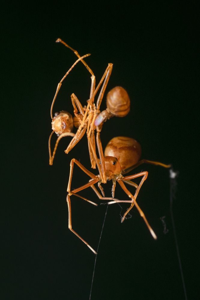 Photograph by Sumanta Dutta