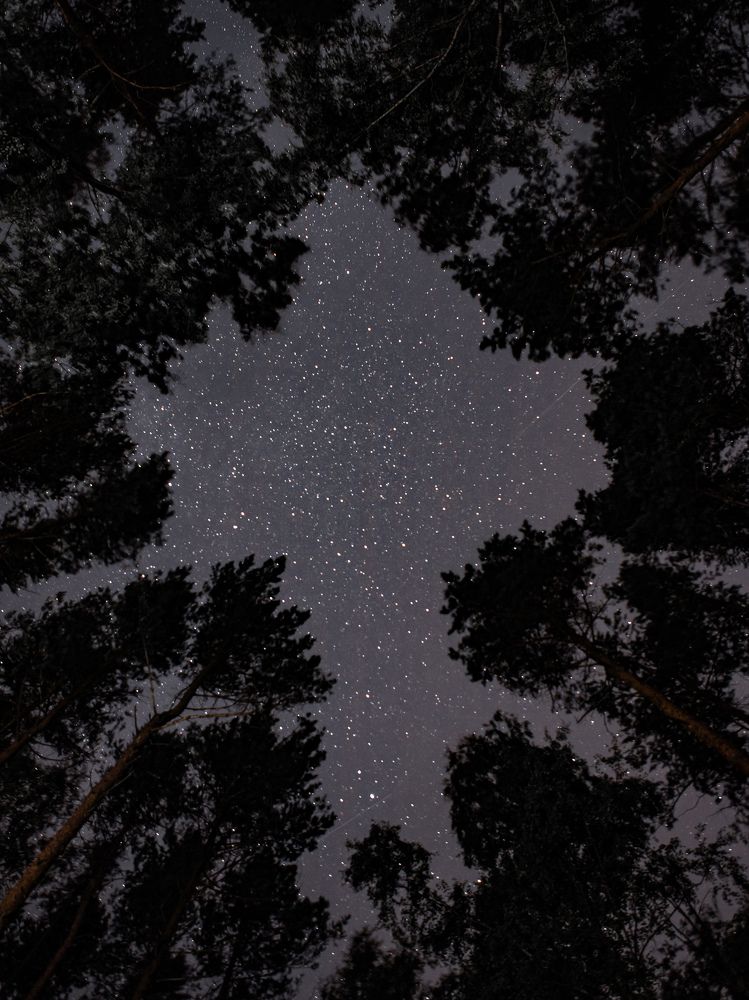 Photograph by Sergey Uskov