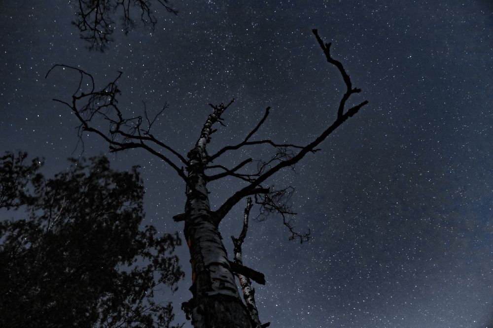 Photograph by Sergey Uskov