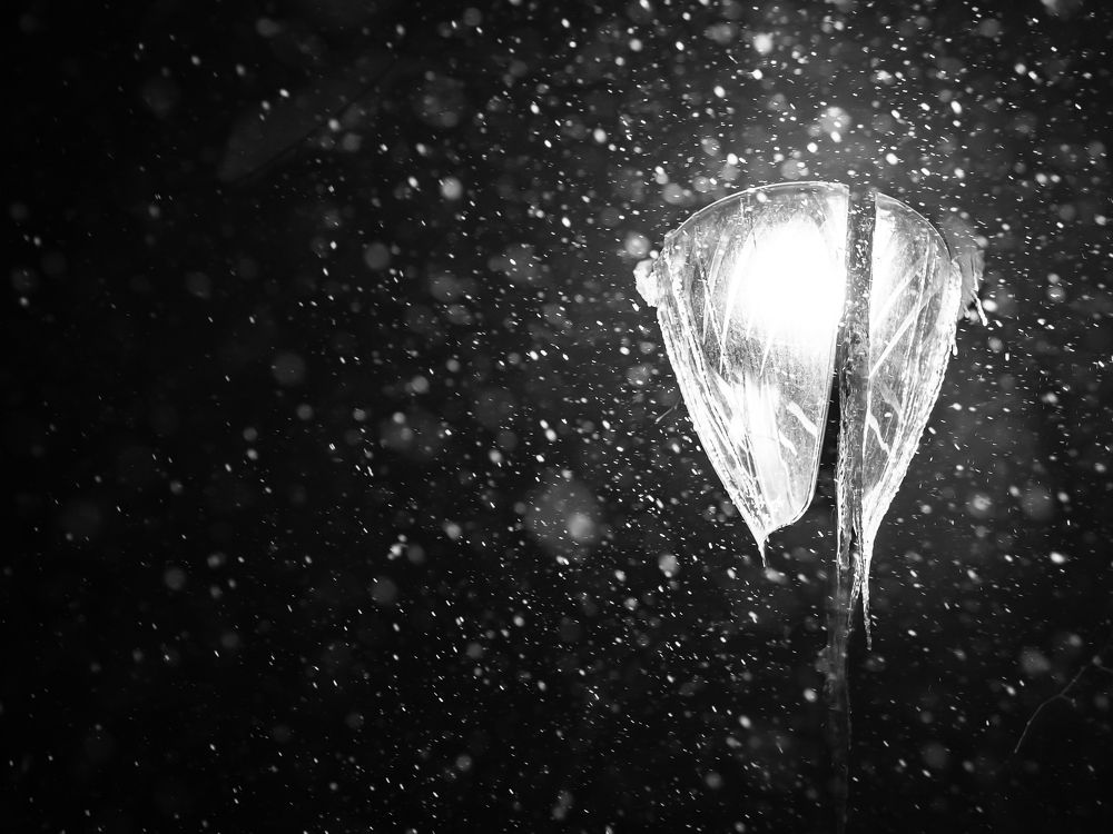 Photograph by Sergey