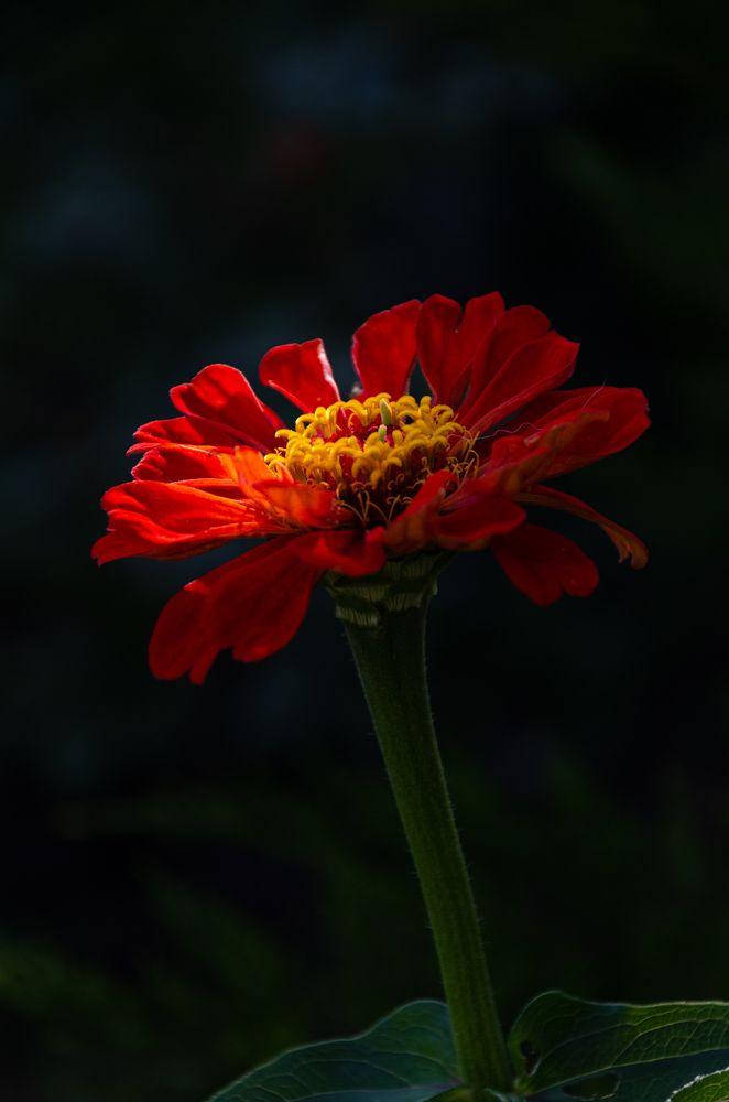 Photograph by Yuri Bohatyrov