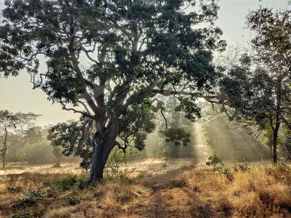 Photograph by Tushar Shetty