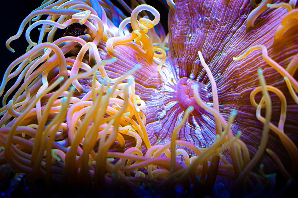 Photograph by Ксения Маленкова