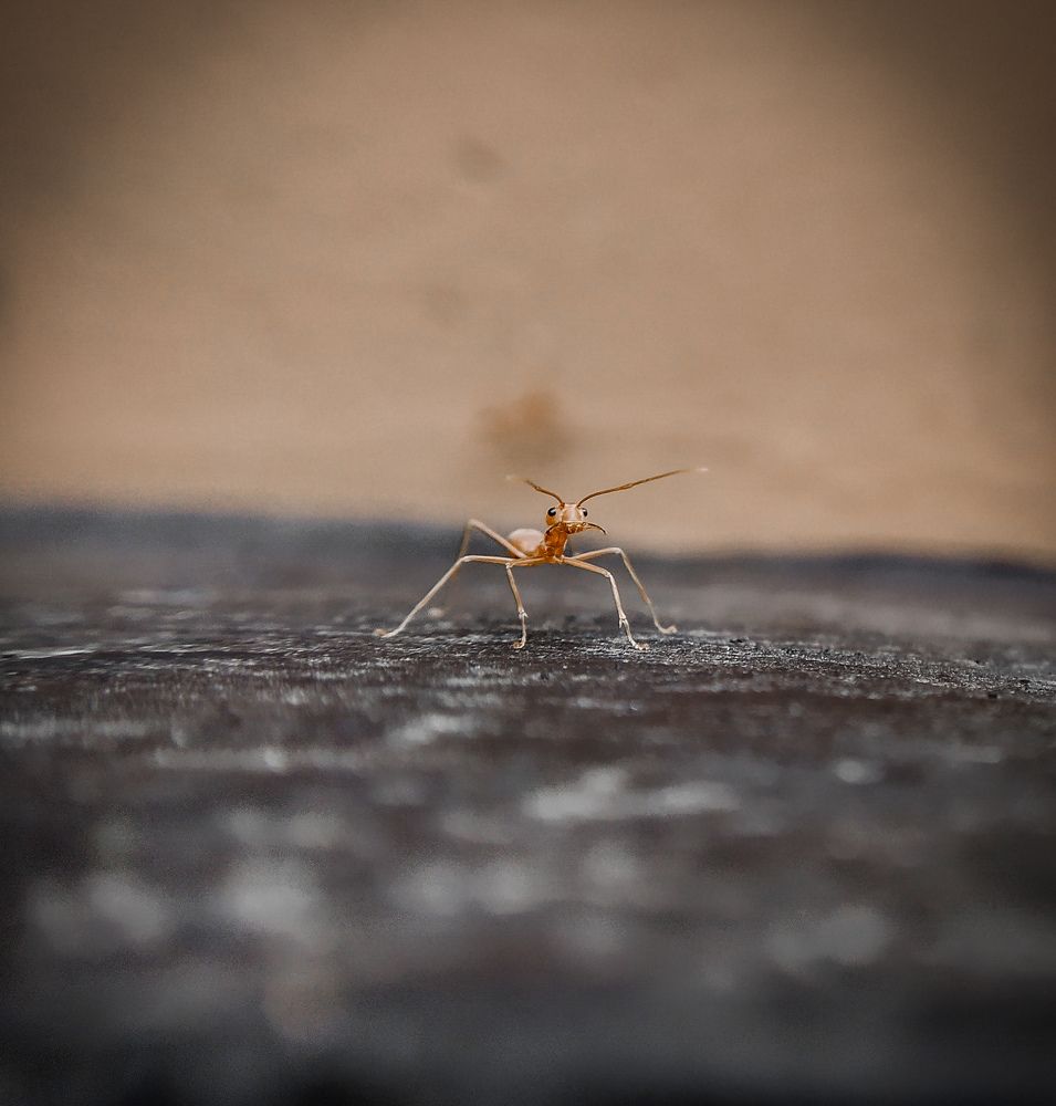 Photograph by 8129956416