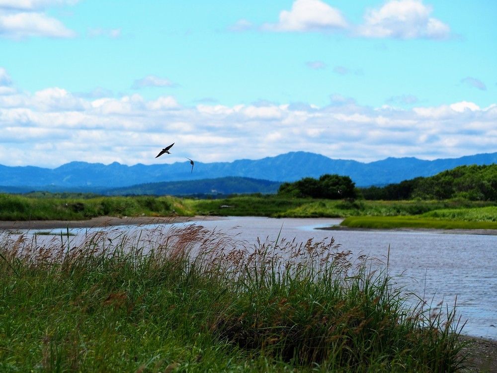 Летний день на Лютоге