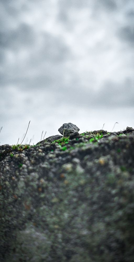 Photograph by 8129956416