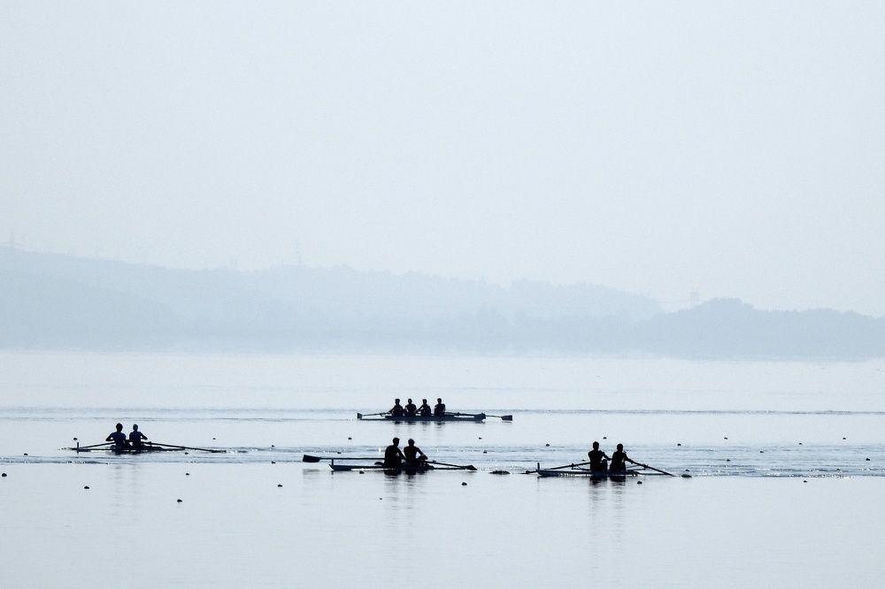 Rowers in the foggy