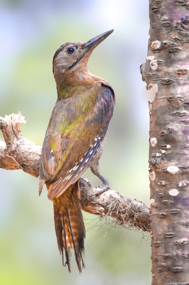 Photograph by prasenjit sinha