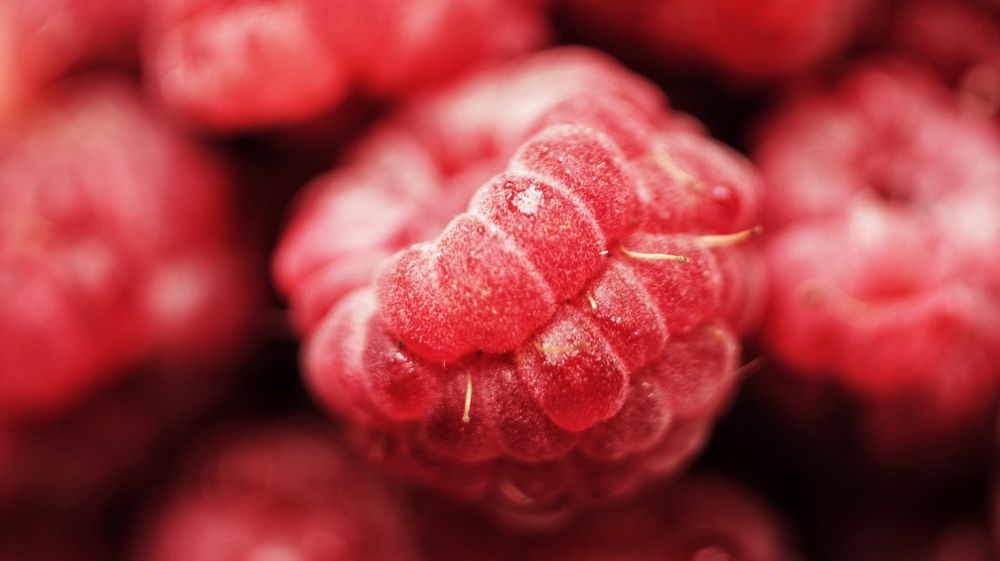 Photograph by Алёна Бондаренко