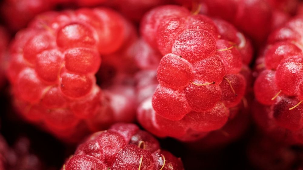 Photograph by Алёна Бондаренко