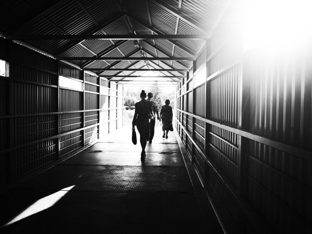 Photograph by Михаил Крайнев