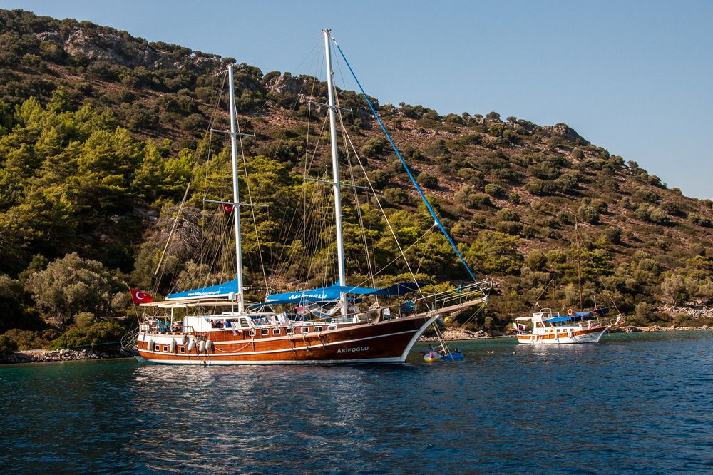 Photograph by Евгений Моляшов