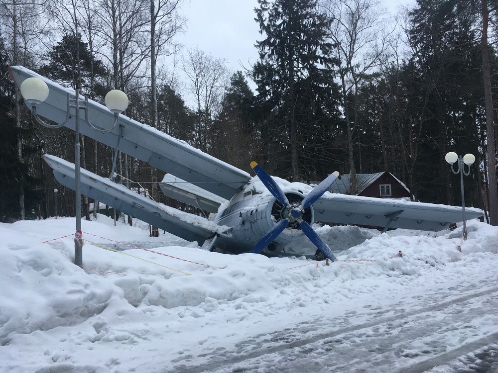Под крылом самолёта ничто не поёт