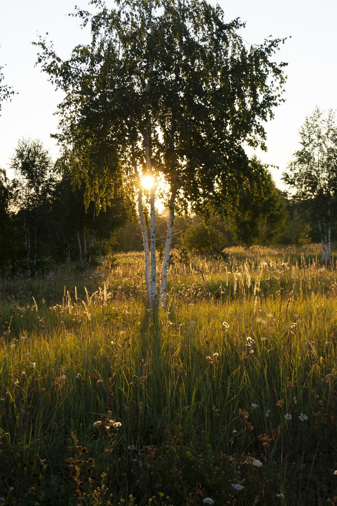 Photograph by Илья Долгушев
