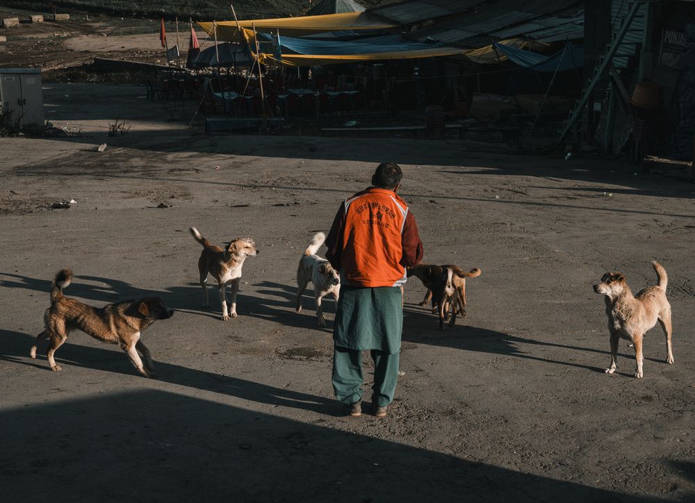 Photograph by Shanavas K T