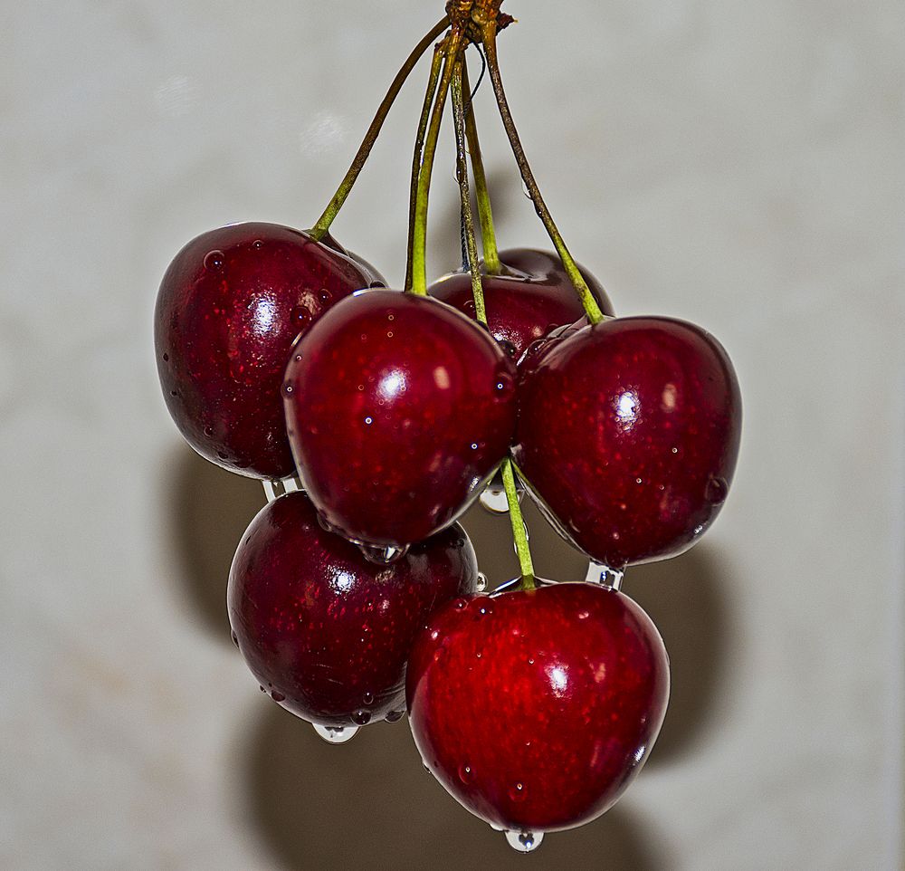 Photograph by Stojan Saveski