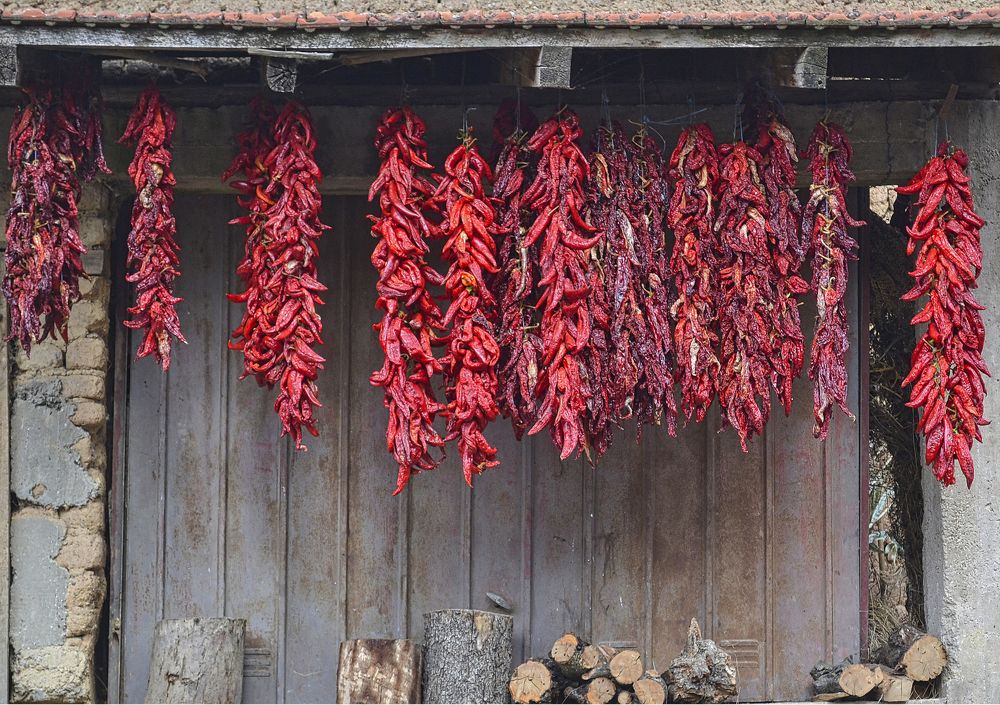 Photograph by Stojan Saveski