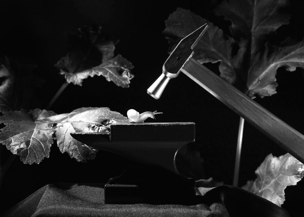 Photograph by Ангела Честнова