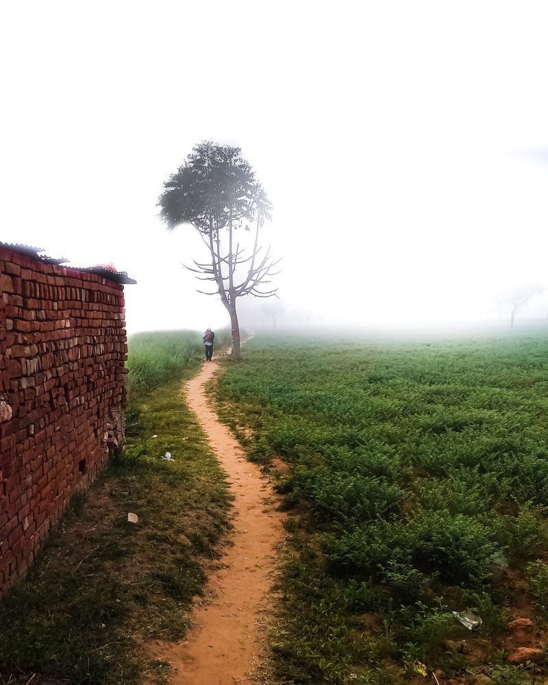 Photograph by Siddhant Jeph